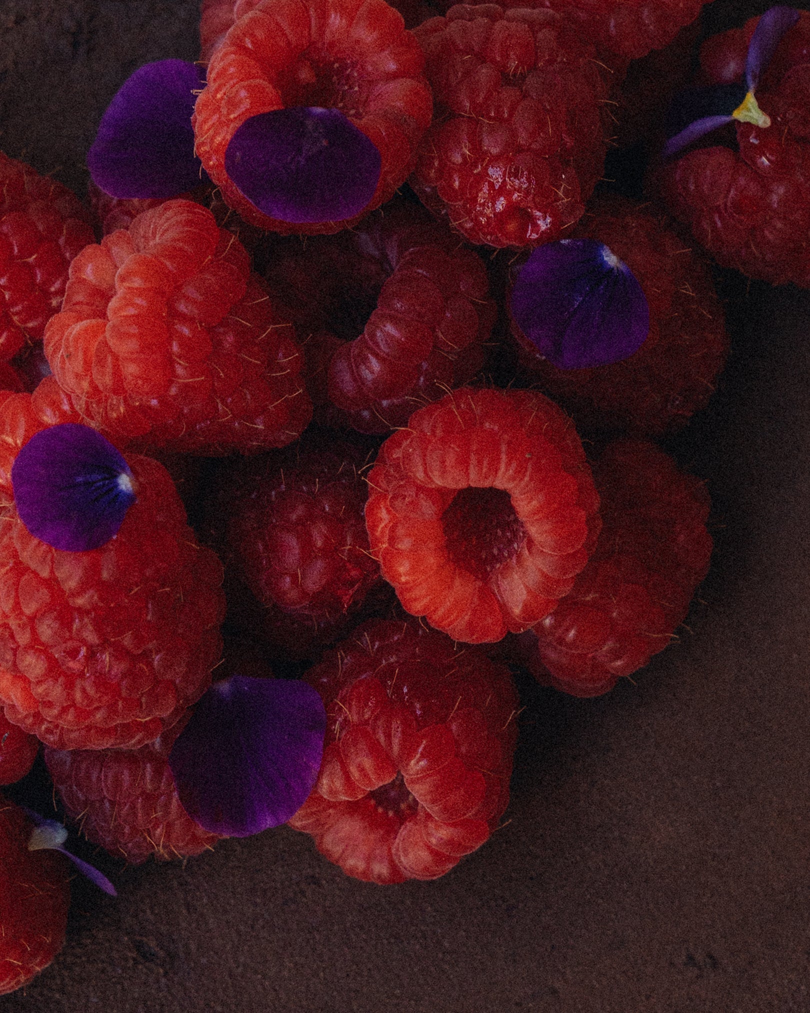 Cake - Chocolate & Raspberry