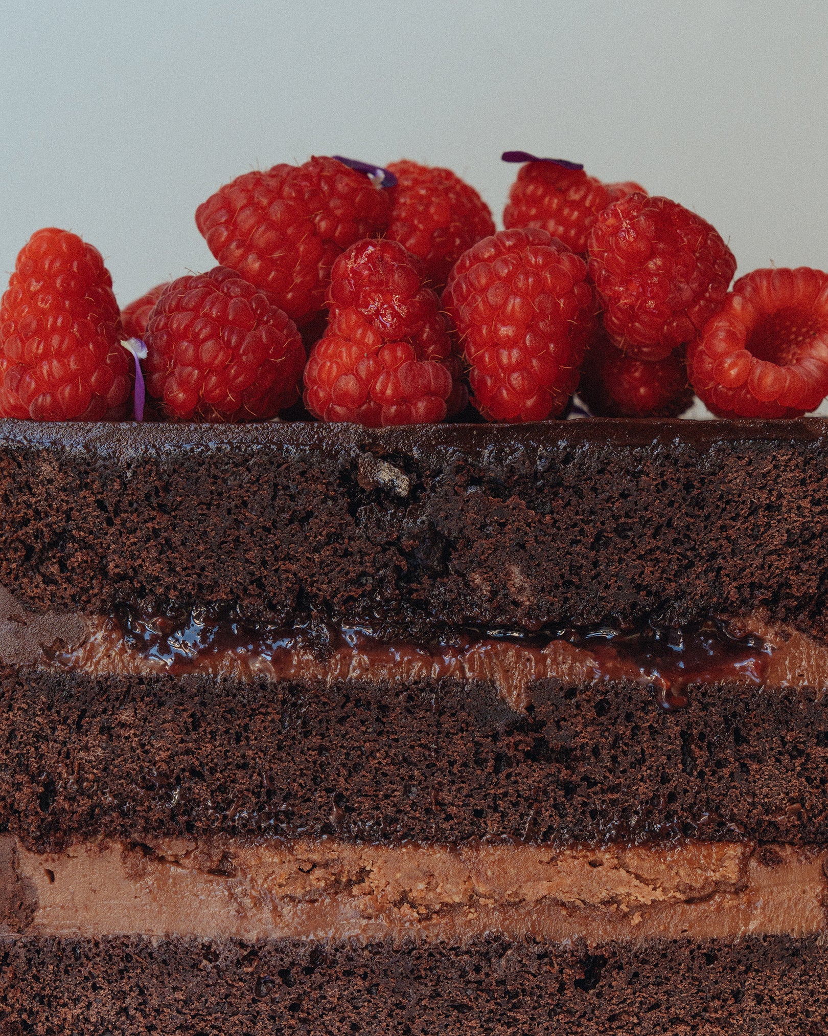 Cake - Chocolate & Raspberry