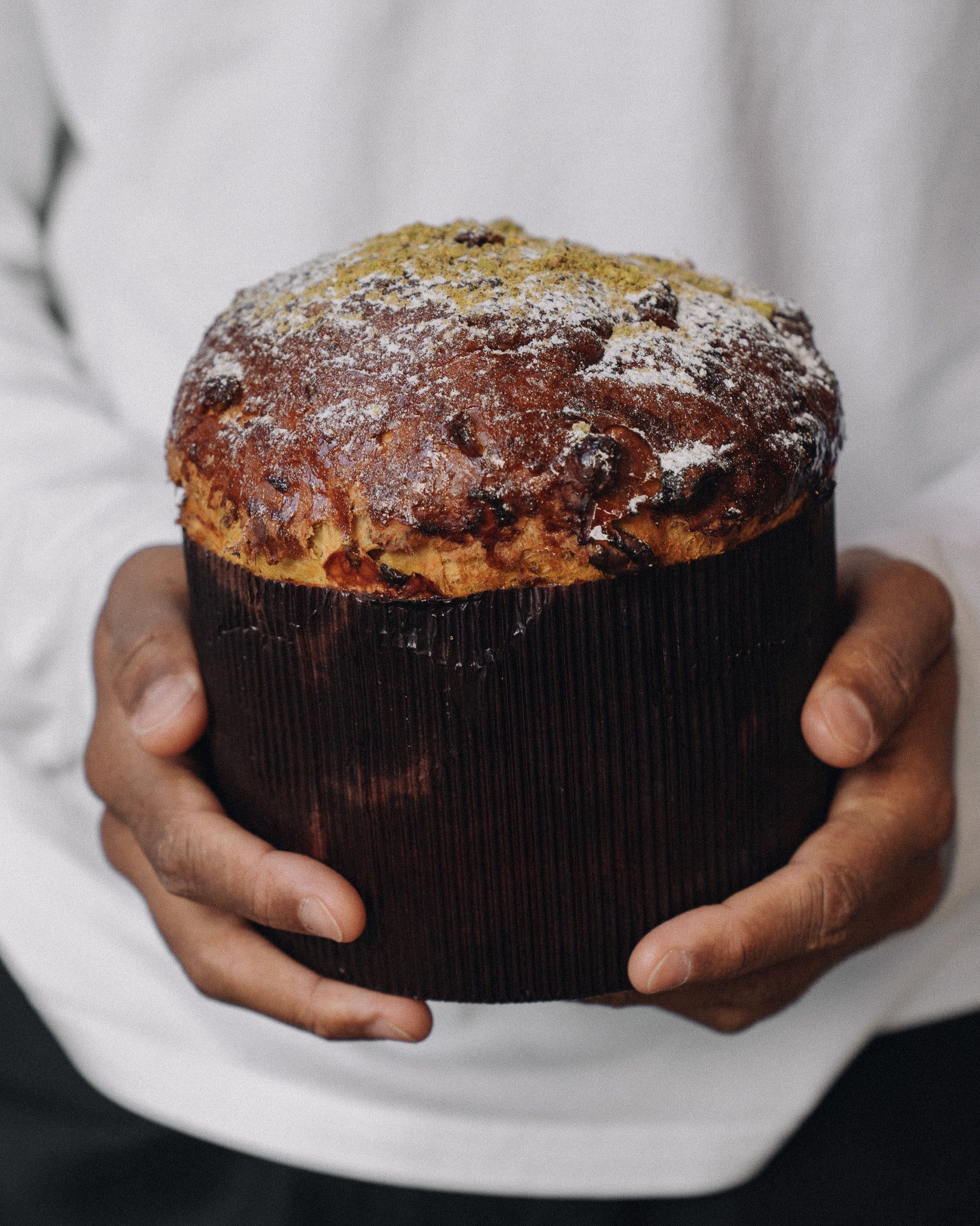Holiday Brioche - "Panettone" style